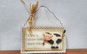 B&B Sweet Home